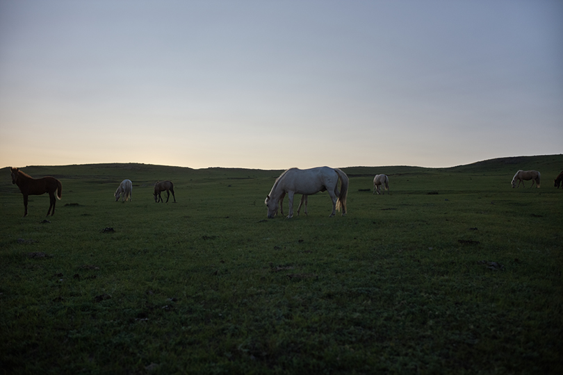 mongolia