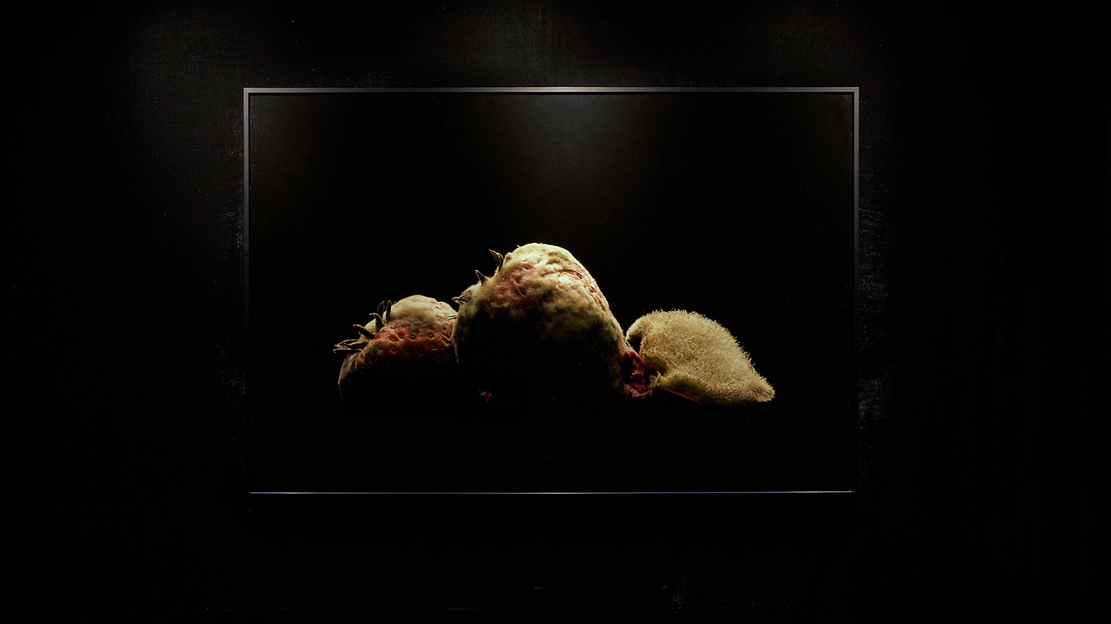 rotten3